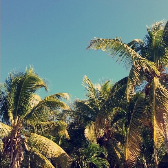 Meet your Posher, Nick - Picture 1 of 1